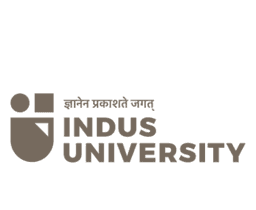 Indus University