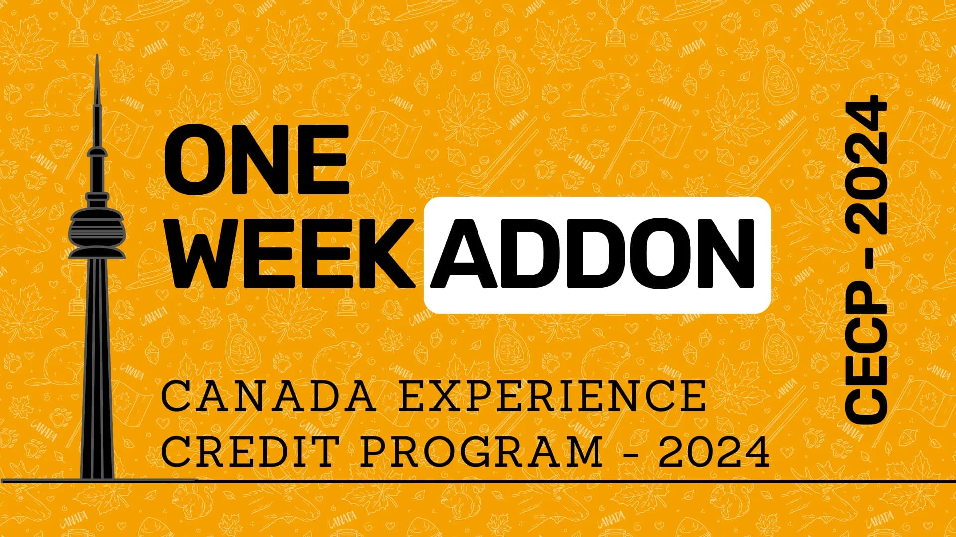 CECP – 2024 | CANADA EXPERIENCE CREDIT PROGRAM